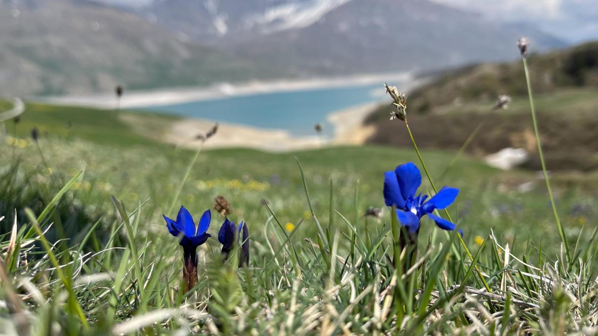 Aux Portes Du Parc National De La Vanoise Appartement Termignon Val Cenis Avec Wifi Bagian luar foto
