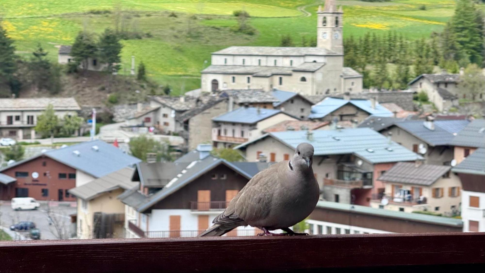 Aux Portes Du Parc National De La Vanoise Appartement Termignon Val Cenis Avec Wifi Bagian luar foto